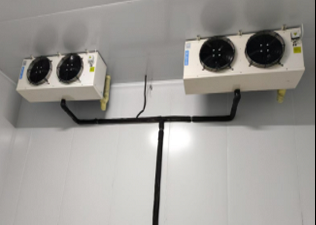 长期不使用的冷库如何科学处理？